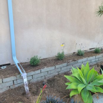 rose garden landscaping