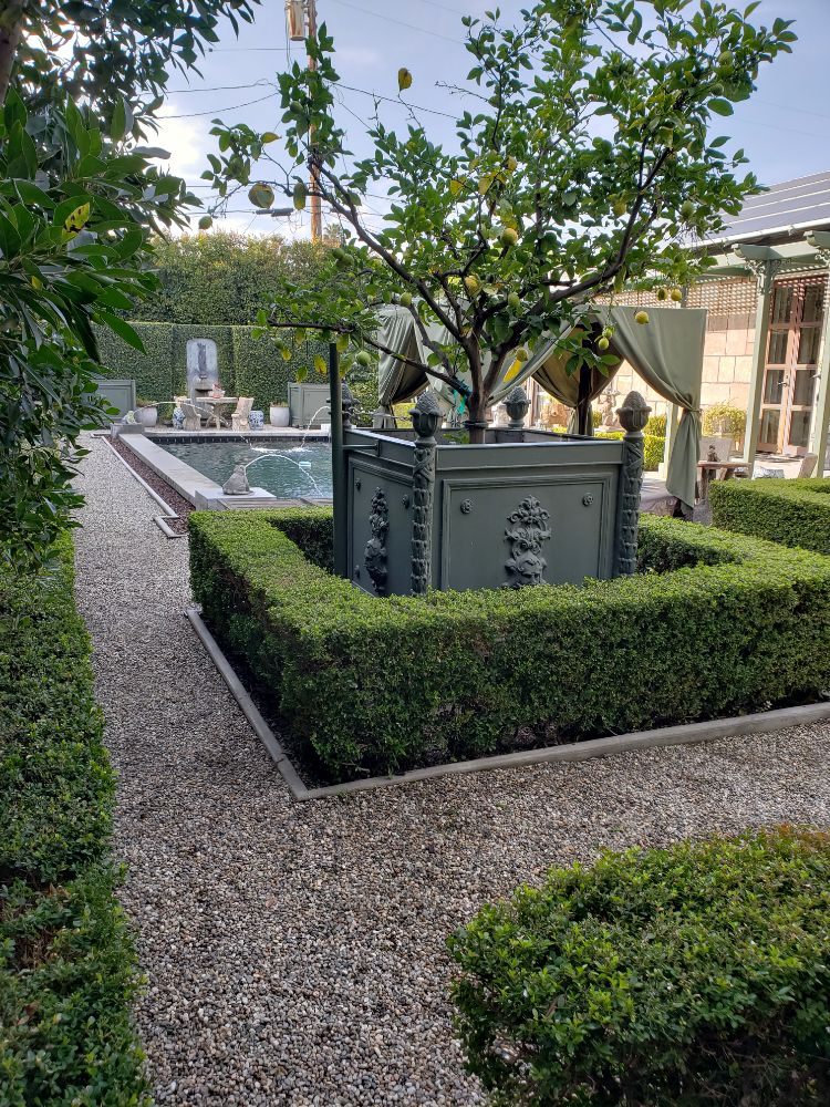rose garden landscaping