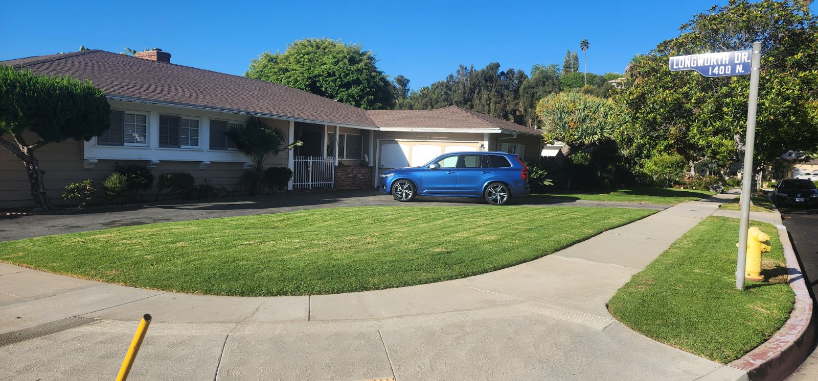 rose garden landscaping